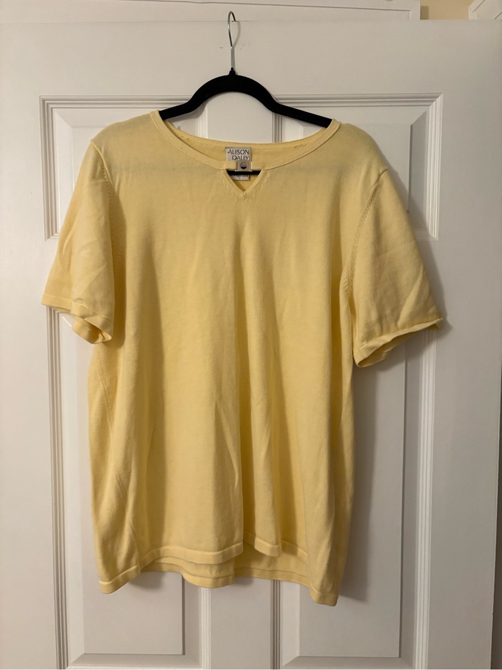 Allison Daley short sleeve top